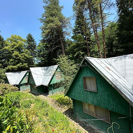 Nunisi Forest Hotel & Spa Exterior photo